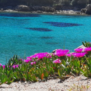 Sardaigne au printemps à découvrir lors du voyage organisé en mars