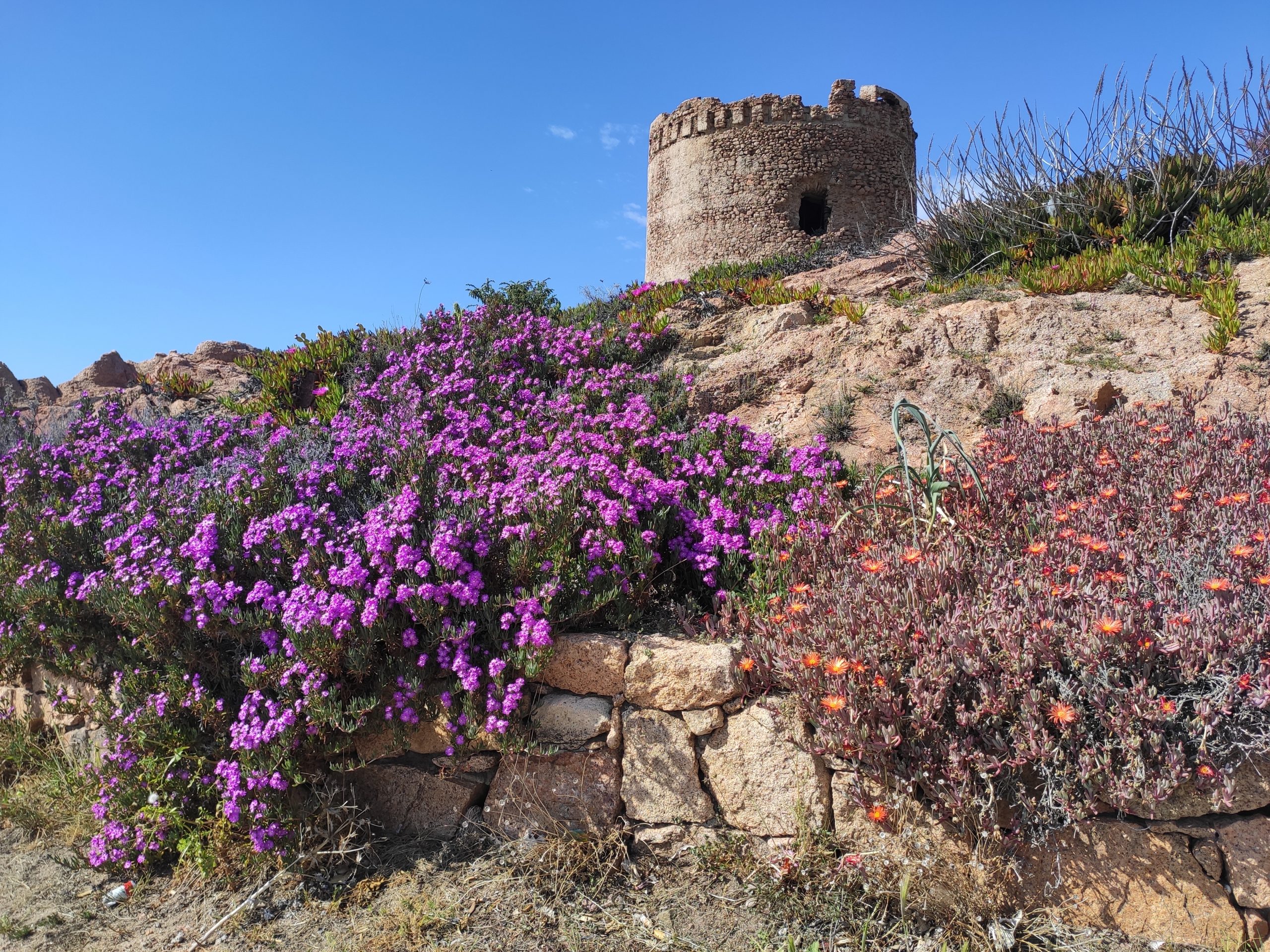 Mars en Sardaigne – paysages et atmosphère printanière