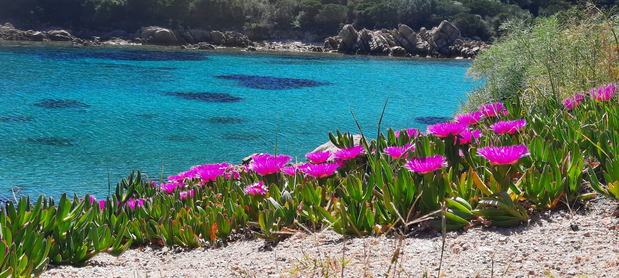 Paysage de printemps en Sardaigne au mois d’avril