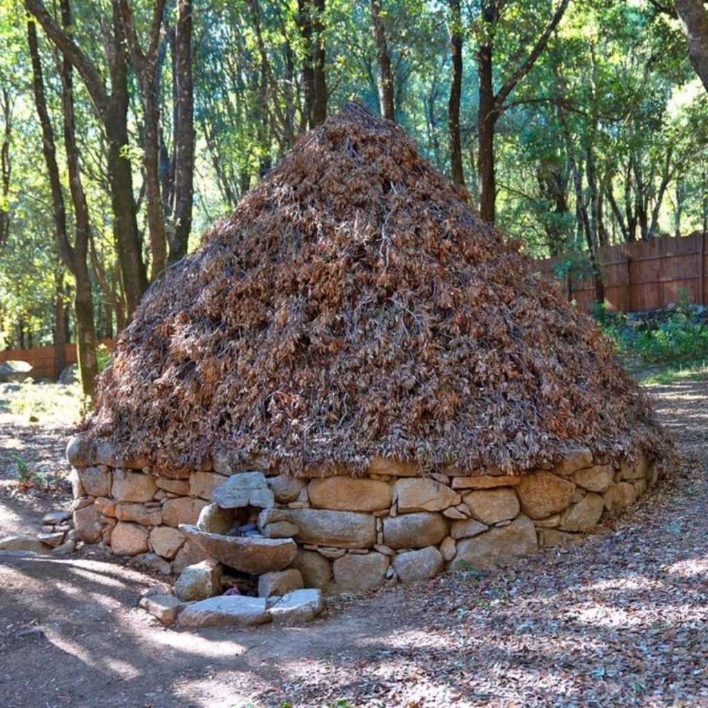 Parc archéologique de Bosco Seleni en Ogliastra, site nuragique en pleine forêt en Sardaigne
